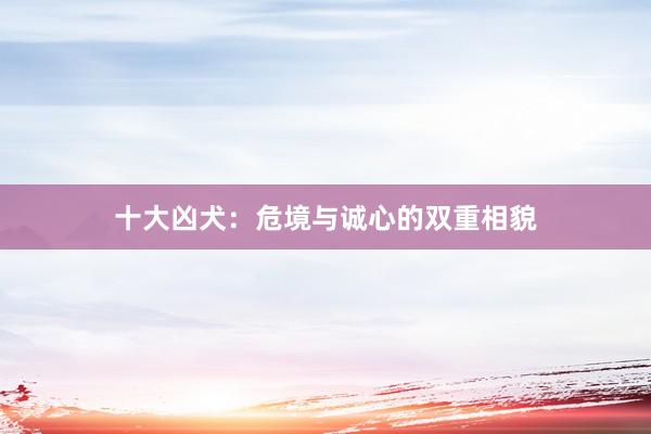 十大凶犬：危境与诚心的双重相貌